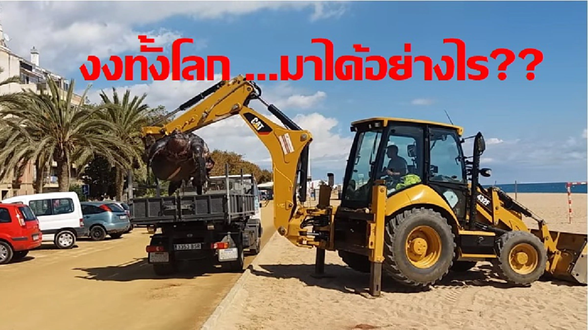 ตะลึงไปทั้งโลก!! คลื่นซัดเต่ายักษ์ หนักเกือบตัน เกยหาด นักวิทยาศาสตร์ งง มาได้อย่างไร ห่างจากถิ่นอาศัยเกือบซีกโลก (คลิป)