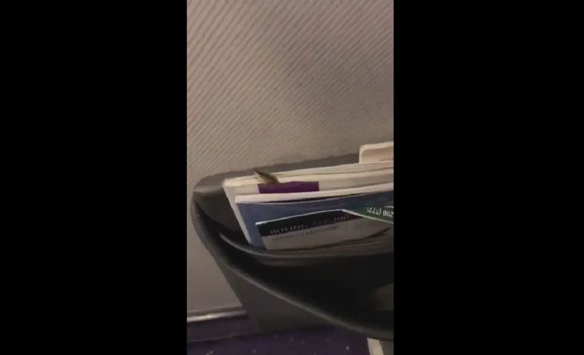 การบินไทยชี้แจงกรณีพบแมลงสาบบนเที่ยวบิน (คลิป)