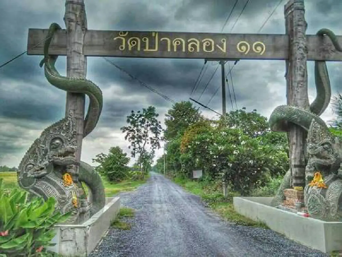 เลขเด็ดมาแน่!! บรรดาเซียนหวยทั่วสารทิศ แห่กันมาขอเลขเด็ดที่วัดป่าคลอง11 หรือที่เรียกกันว่าคำชะโนด 2 หลังจากที่โด่งดังมากจากชาวโซเชียล (คลิป)