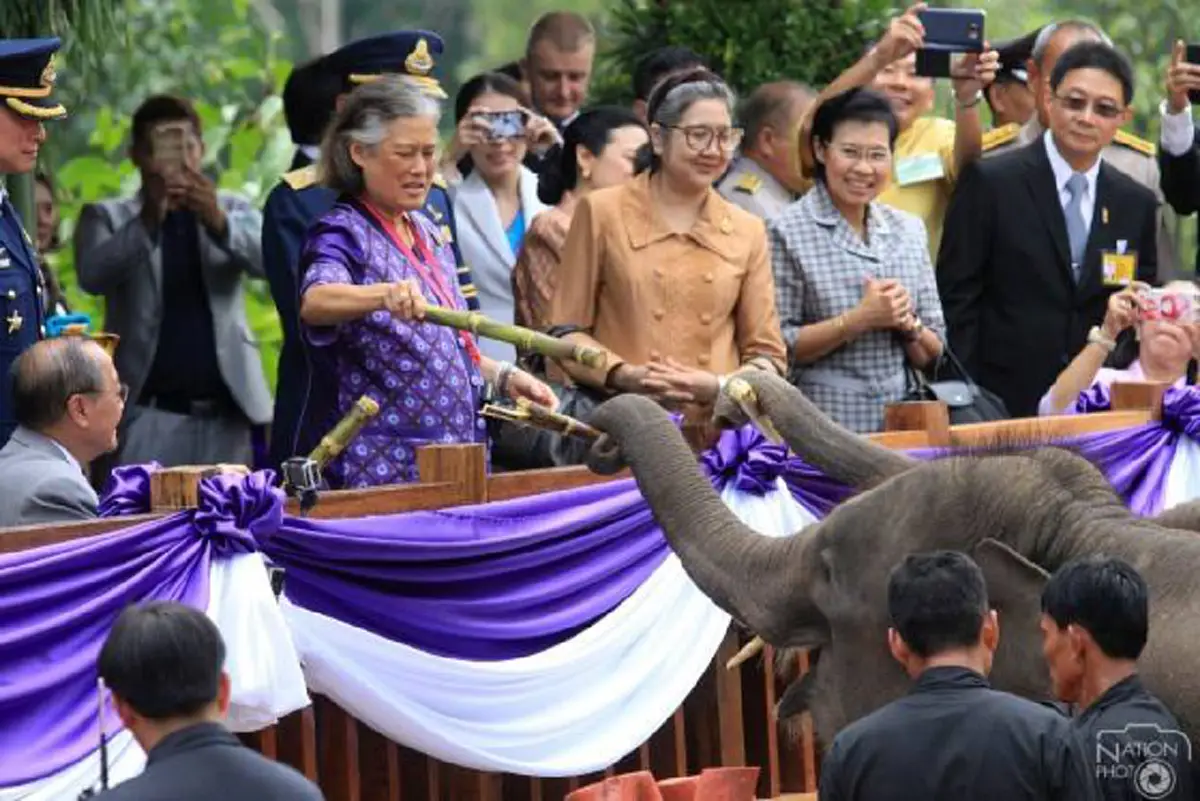 พระเทพฯตรัสเล่าความผูกพันต่อคุณพระเศวต "ฉันชอบช้างมากที่สุด" ตรัส ร.10 เป็นพระองค์แรกที่ทรงทำให้ใครๆต่างถือช้างเป็นสัญลักษณ์ของพระเทพฯ