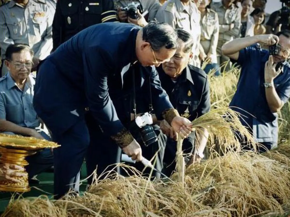 "กลิ่นหอมของข้าวไทยไม่มีอะไรมาเทียบเคียงได้" พระราชดำรัสในหลวง ร.๙ จุดกำเนิด"ข้าวหอมมะลิไทย"ที่มีชื่อเสียงระดับโลก ณ ทุ่งกุลาร้องไห้(ชมคลิป)