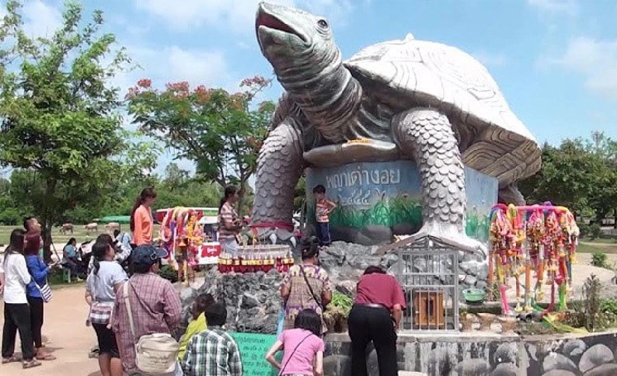 พญาเต่างอย