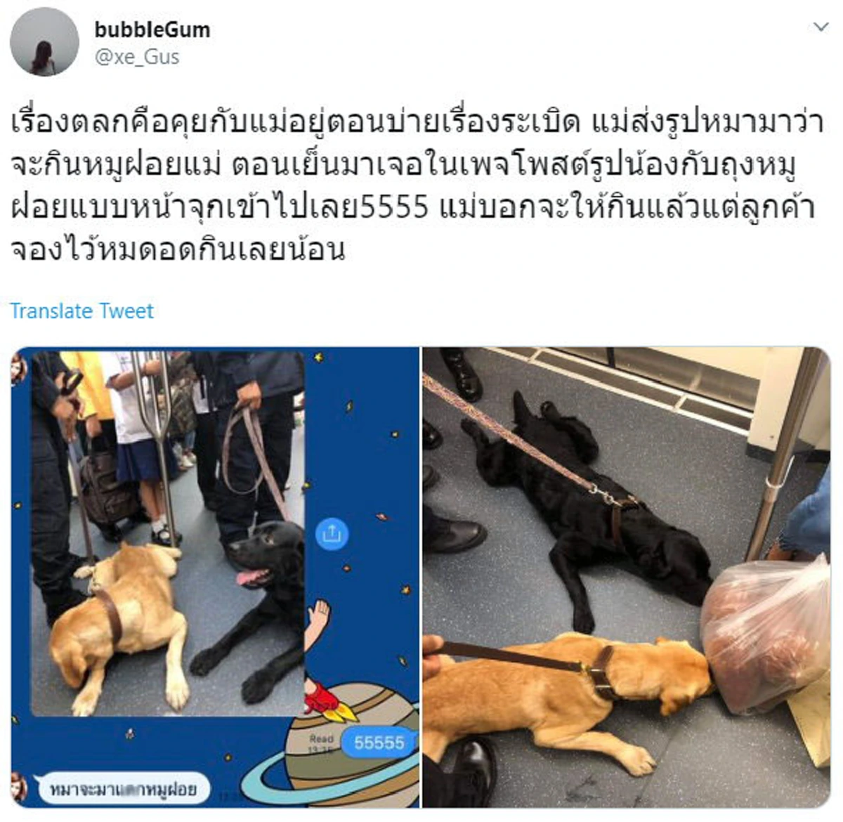 เจอตัวแล้ว เจ้าของหมูฝอยบนรถไฟฟ้าที่สุนัขK9ต้องยอมสยบให้