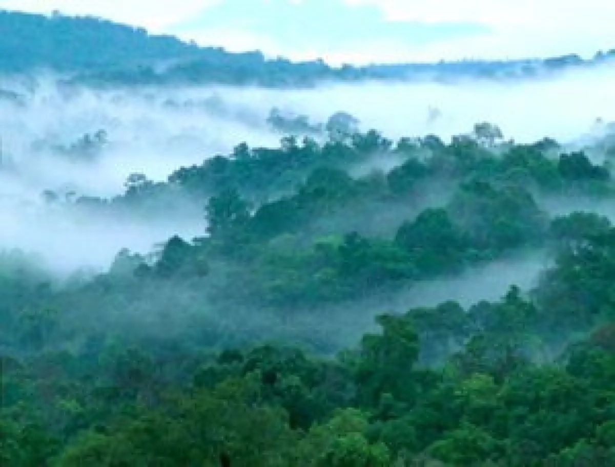 ประกาศกรมอุตุฯ 15-17 ธ.ค. อากาศหนาว ใต้ฝนตกหนัก