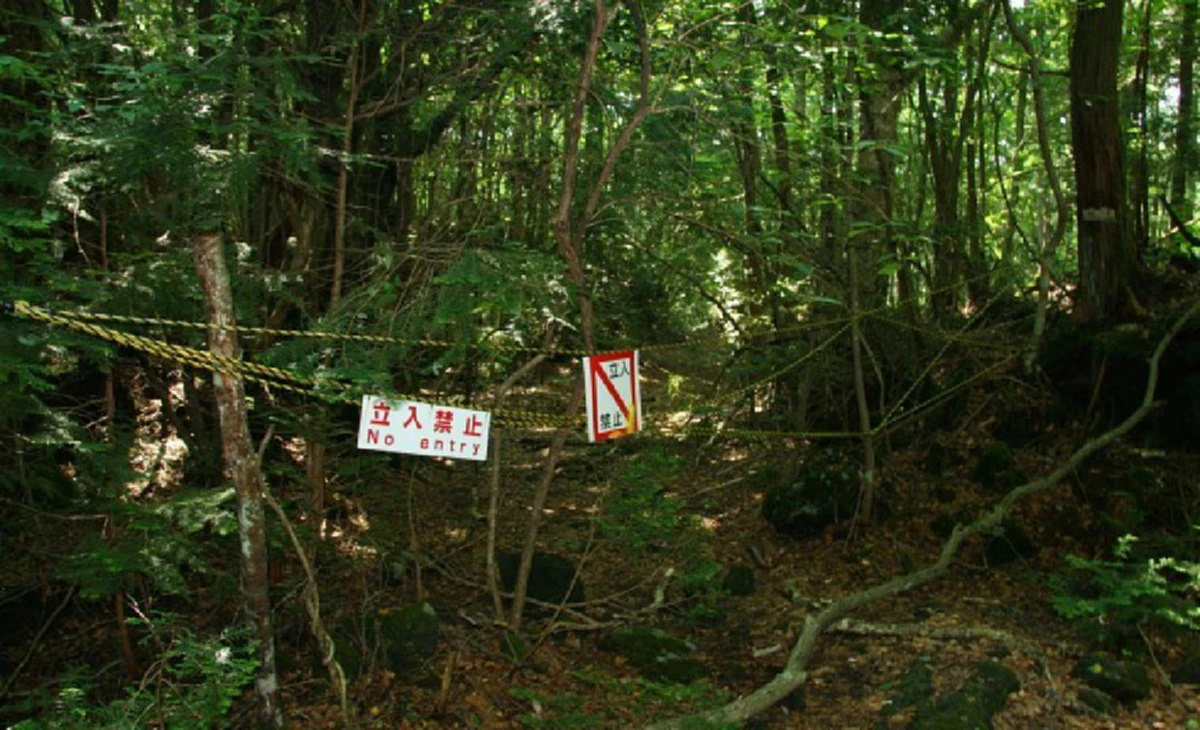 โคตรหลอน!!  ป่าอาโอกิกาฮาระ (Aokigahara) ป่าอาถรรพ์ แห่งประเทศญี่ปุ่น สถานที่ฆ่าตัวตายติดอันดับ 2 ของโลก!