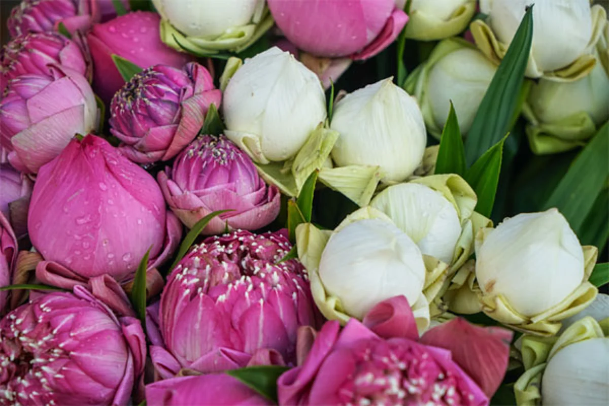 เสริมมงคลให้ชีวิต !! ดอกไม้ที่ใช้บูชา&quot;พระ&quot;...เเต่ละชนิดเสริมสิริมงคลในด้านใดบ้าง??!! (รายละเอียด)