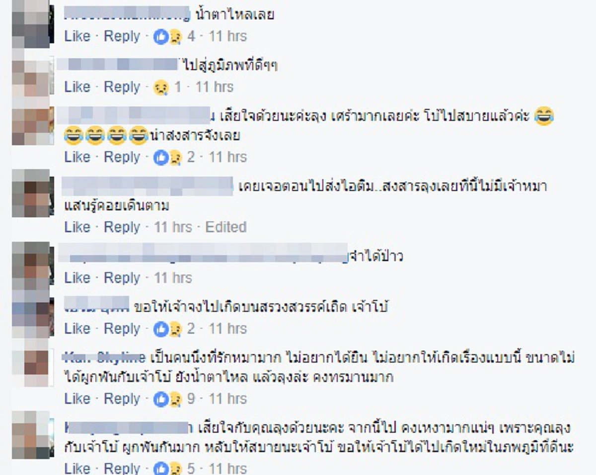 เรื่องนี้เศร้าเลย!! จำได้มั้ย? "เจ้าโบ้" ตูบกตัญญูคอยช่วยเหลือลุงเก็บของเก่าขาย ล่าสุดเหลือแต่ชื่อคุณลุงถึงหลั่งน้ำตา#โบ้ไม่ต้องเหนื่อยแล้ว?