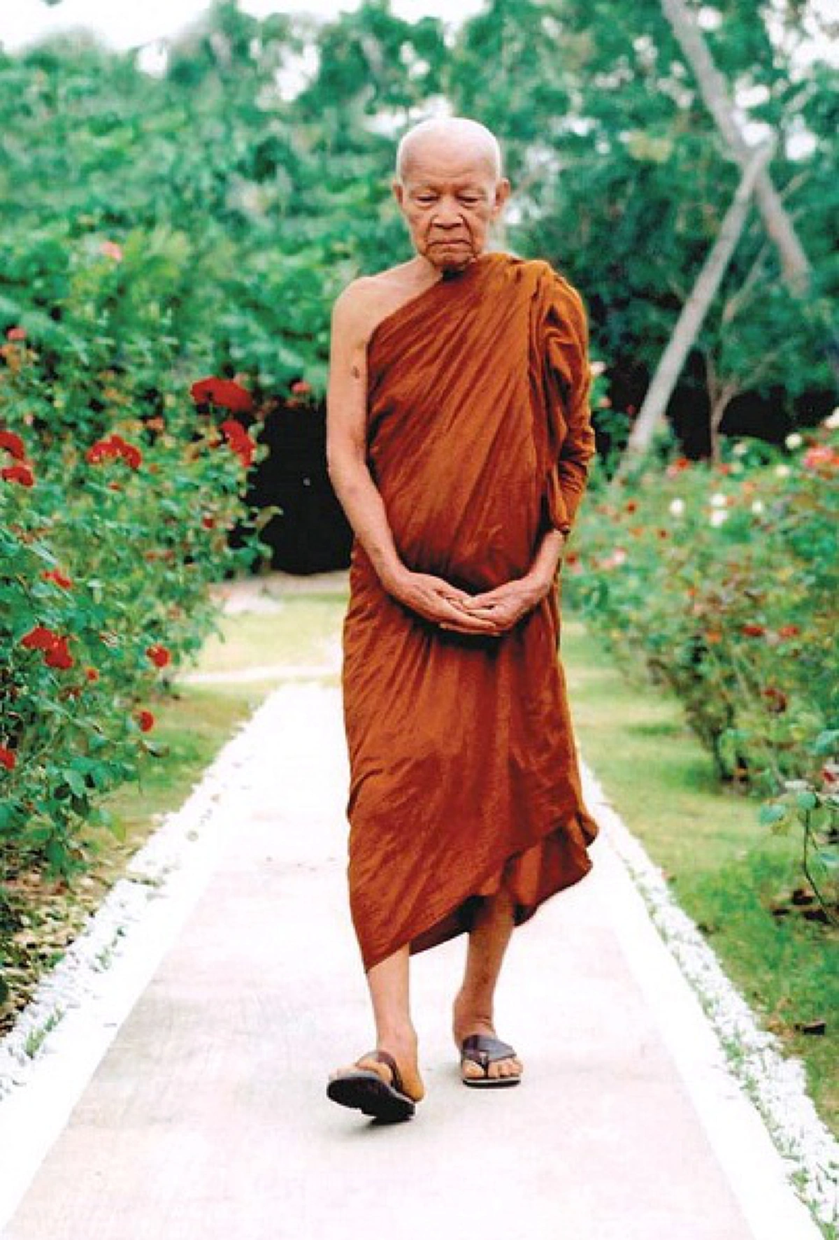 ชีวิตไม่ติดสมมุติ!! เงินทองก็แค่ประสากระดาษ ... ว่าแล้วหลวงปู่แหวนก็เอา "แบงก์ ๕๐๐" มามวนบุหรี่สูบซะเลย!!