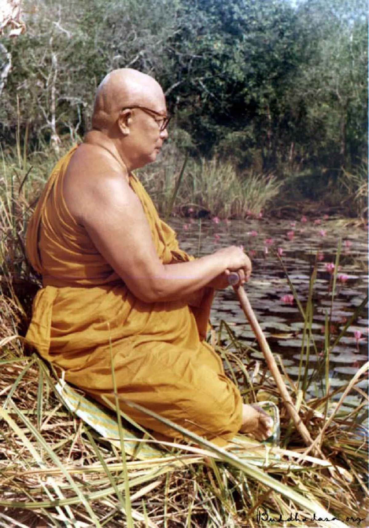 ประชาธิปไตย...ตามใจกู!! พุทธทาสวิจารณ์ : สังคมระส่ำระสายเพราะ "ประชาธิปไตยตามใจกิเลส" ... ถึงเวลาแล้วที่จะต้อง "เผด็จการด้วยธรรมะ"!!