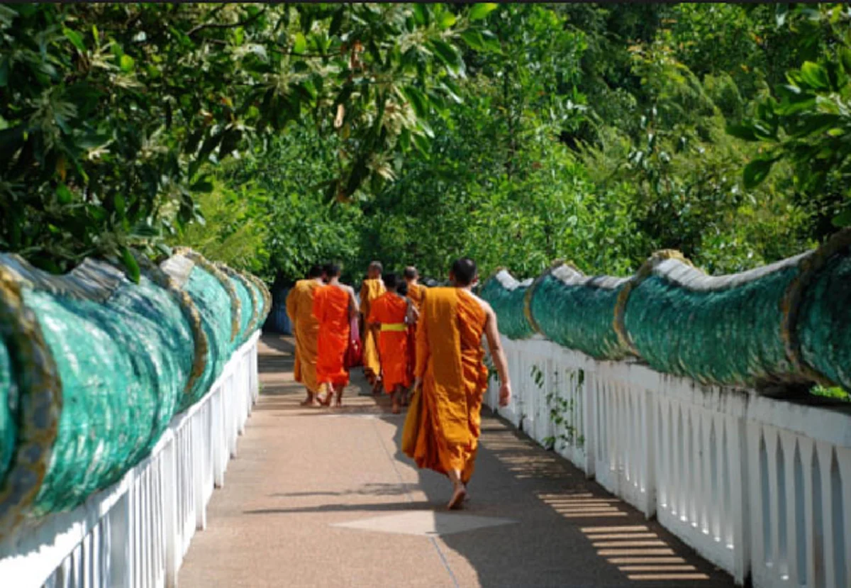 ข้อควรรู้ สิ่งต้องห้าม !!! ในการไป "ป่าคำชะโนด" กับ คดีสุดสยอง "กลุ่มนักศึกษาผูกคอตาย" ที่ยังหาคำตอบไม่ได้ !!! อาถรรพ์คำชะโนด !!!