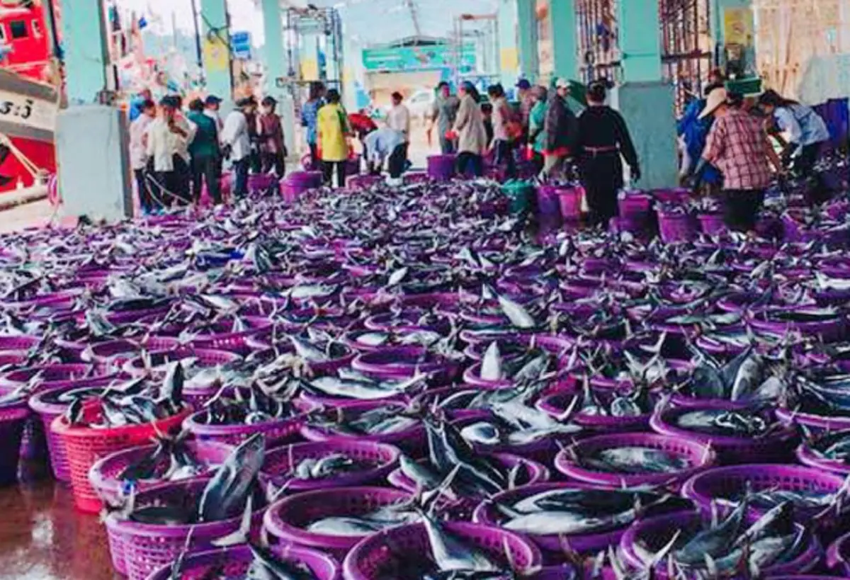 ยิ่งกว่าถูกหวย!! "เรือประมง" บนกรมหลวงชุมพรฯ ก่อนลากอวนจับปลา พอรู้จับได้ปลาอะไร ยิ่งขนลุก มูลค่าเป็นล้านๆ !!