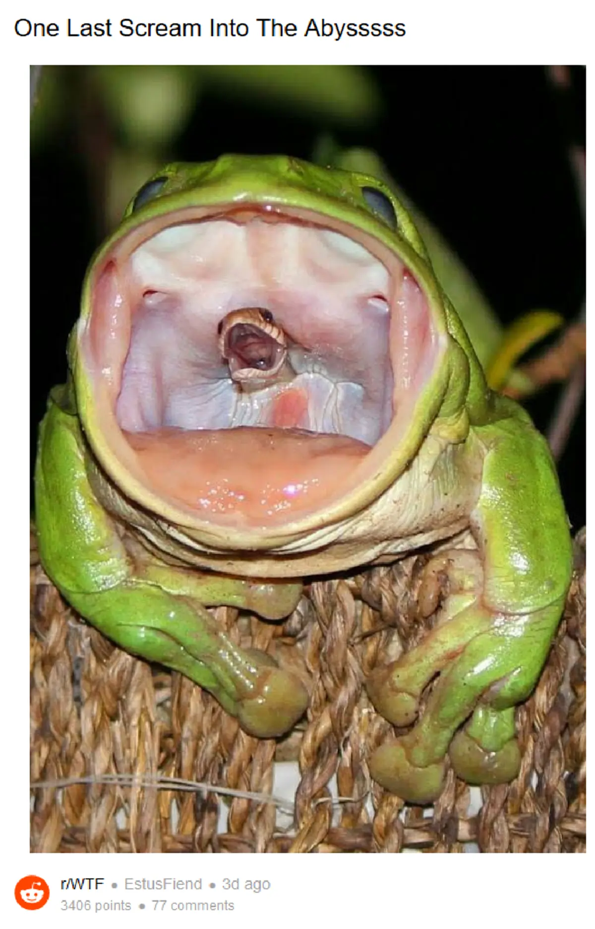 สะพรึงจนขนลุก!! แชร์สนั่น " คลิปกบกินงู " ความอยู่รอดของธรรมชาติ! สัตว์เล็กย่อมเป็นเหยื่อของสัตว์ใหญ่!!?(มีคลิป)