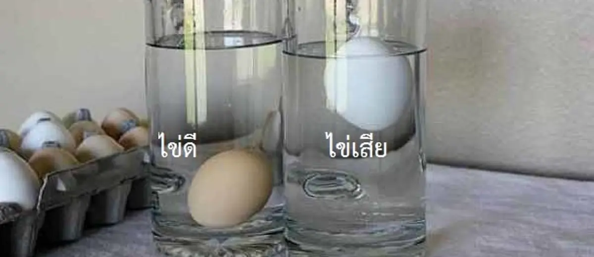 รู้แล้วร้องว้าววว!! เคล็ดไม่ลับ " 16 วิธี " เจ๋งๆ ทำได้จริง ! แถมชีวิตง่ายขึ้น คุณจะลืมวิธีเดิมๆไปเลย รู้แล้วแชร์บอกต่อ!!