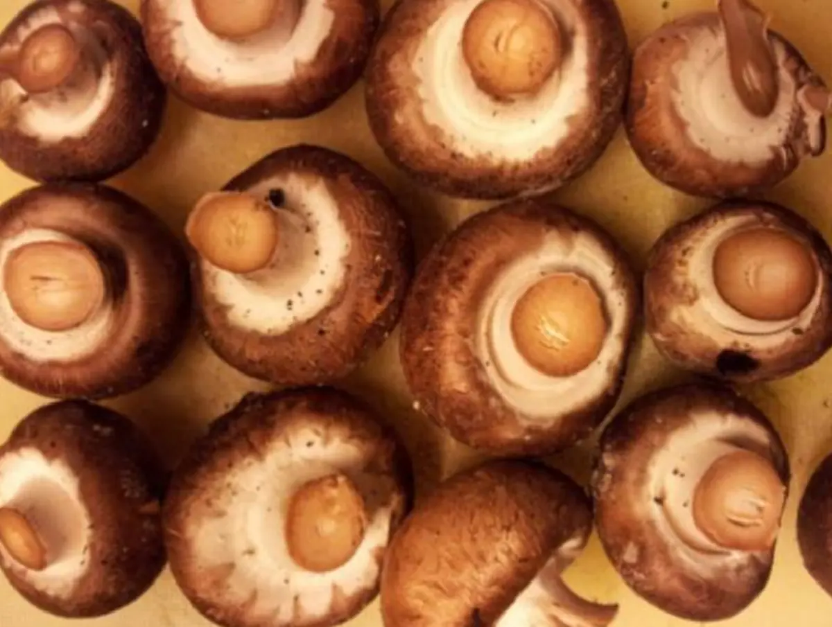 อุ่นรอบ 2 เป็นโทษ !!!! แพทย์เตือน &quot;อาหาร&quot; แช่เย็นนำมาอุ่นดูไว้ไม่เสียหลาย