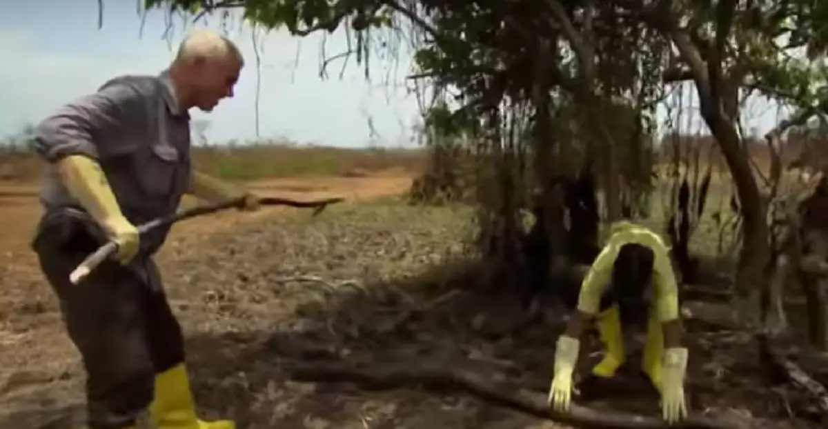 แห่ดู 7 ล้านคน !! คลิปหนุ่มจับ " ปลาไหลไฟฟ้ายักษ์ " ในบ่อโคลน ! ก่อนนำมาล้างน้ำสะอาด เห็นแล้วมีขนลุก !!? ( ชมคลิป )