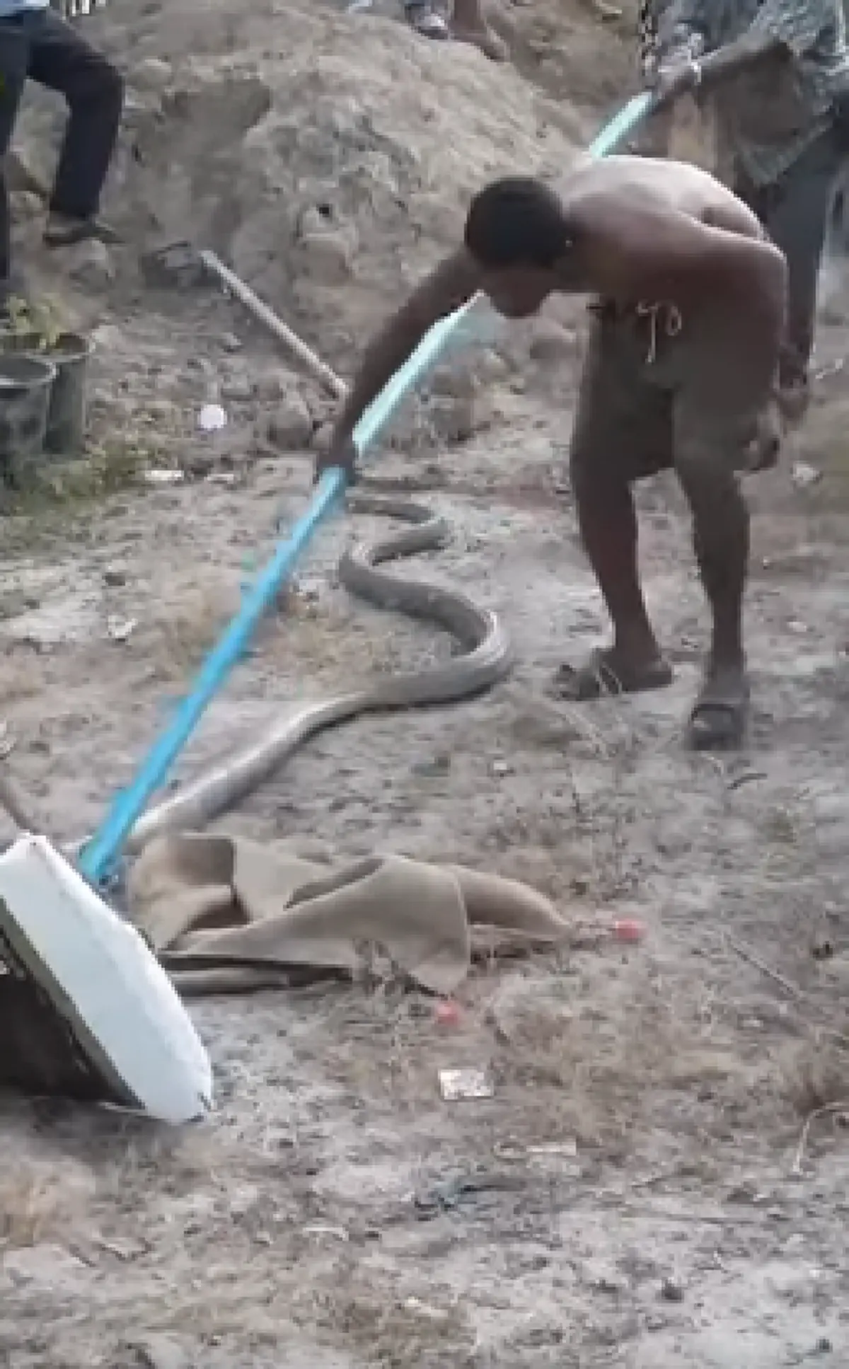 สบตากับความตาย!! ลืมหายใจ หนุ่มเล่าตาตื่น เห็นเหตุประหลาดนกฮูกกินไข่ ก่อนเหลือบตาไปเห็นเงามัจจุราช ชูคอเสมอหน้า (คลิป)