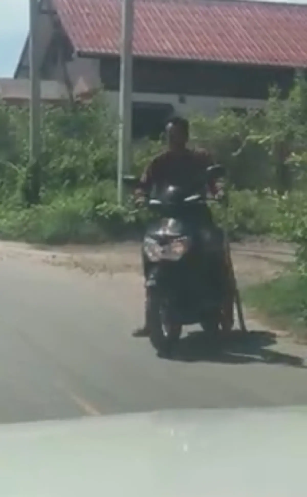 ดับฝัน เกือบคิดได้แล้วเชียว!! หนุ่ม เจองูเลื้อยอยู่กลางถนน จอดตีเลขหวังเสี่ยงโชค จู่ๆ ชายขี่จยย. เดินมาจับงูฟาดพื้นทีเดียวรู้เรื่อง  ฝันสลาย