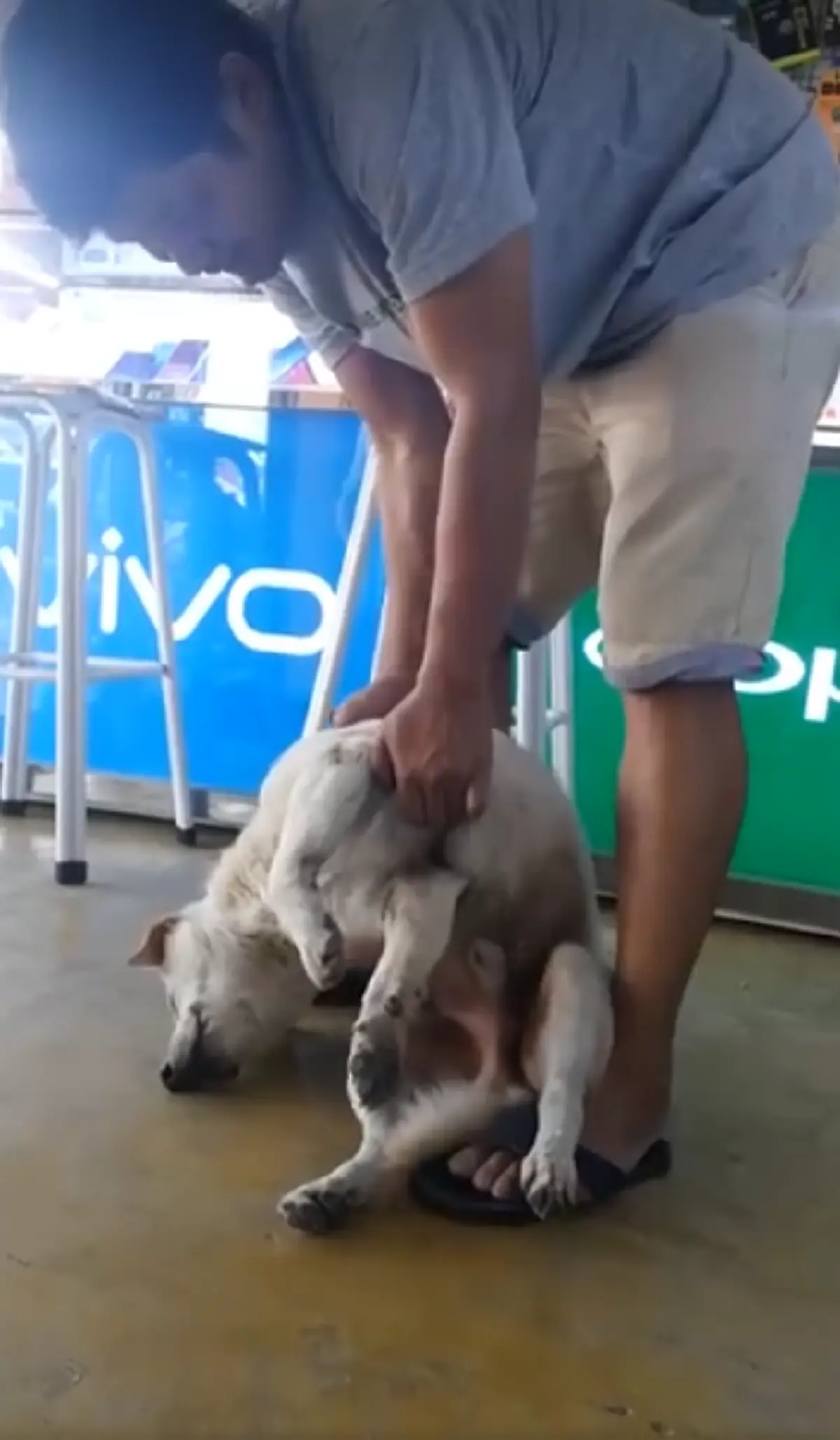 ชาวเน็ตเอ็นดู!! เจ้าของดึงรั้งสุนัขไปอาบน้ำ ทำตัวอ่อนหมดเรี่ยวแรง ถ่ายคลิปไปฮาไป (คลิป)