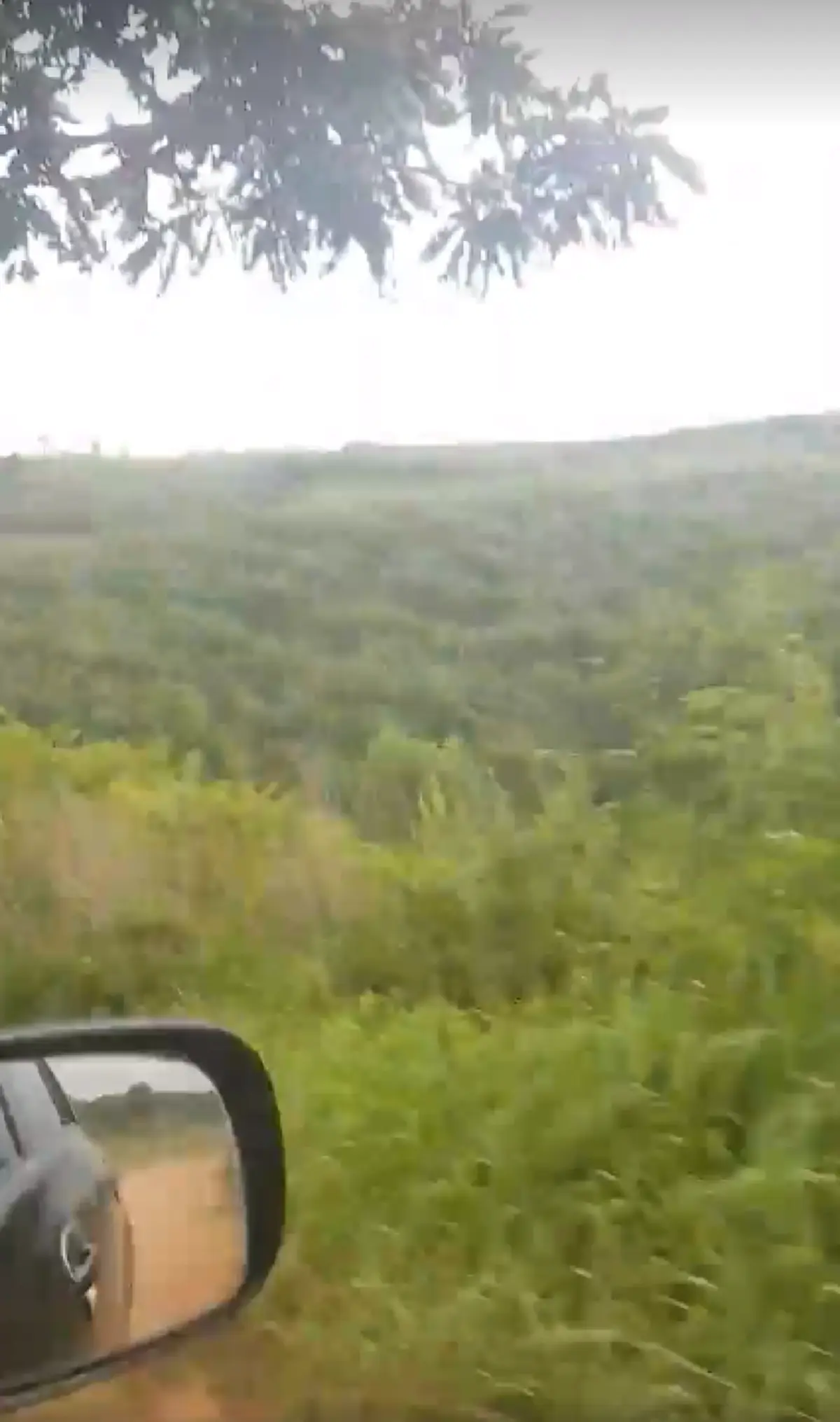 ใครมาเช็คอินตรงนี้!! หนุ่มหัวเสีย เปิด GPS นำทาง พาขึ้นเขาไปเรื่อยๆ สติหลุดเมื่อบอก "คุณมาถึงแล้ว" มองซ้าย ขวามีแต่ป่า (คลิป)