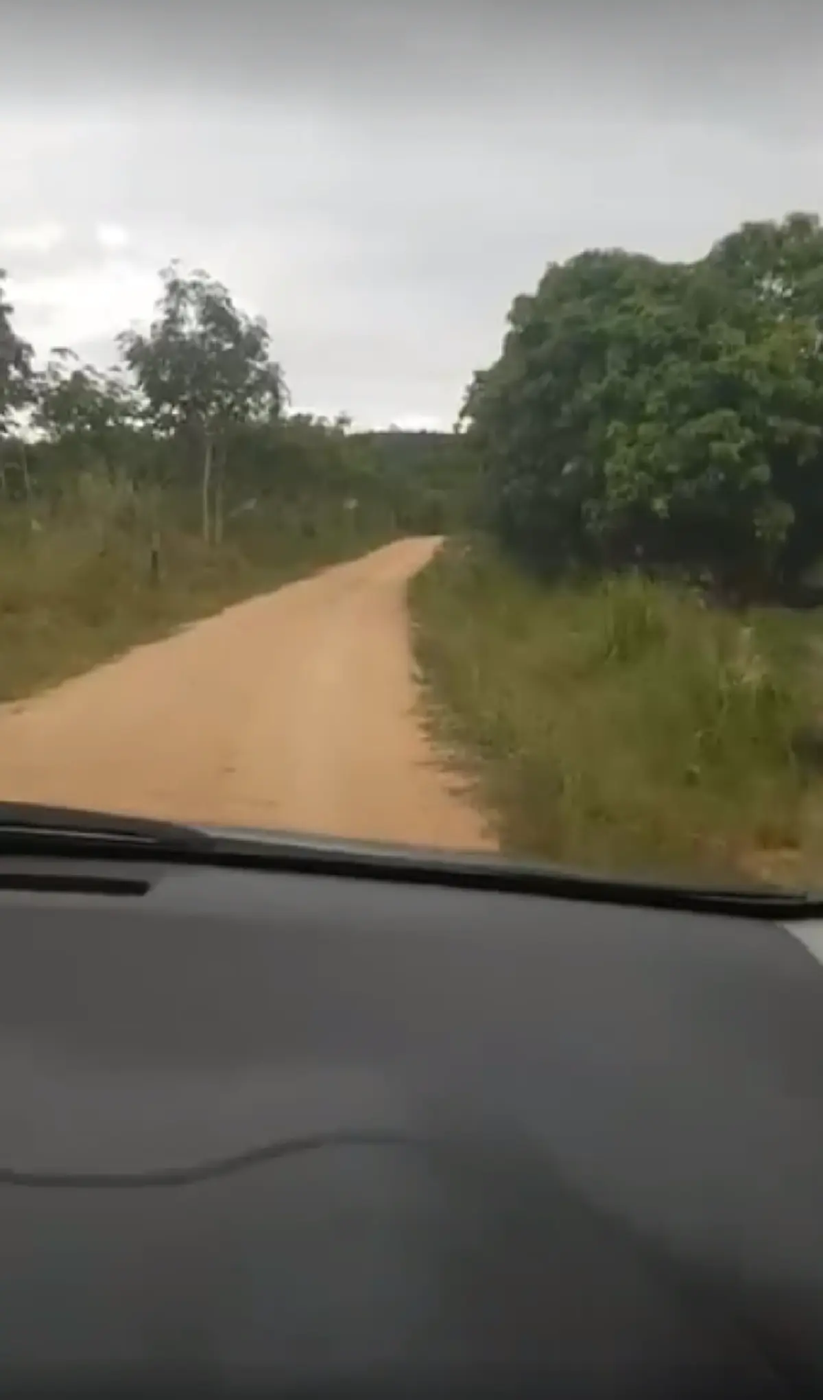 ใครมาเช็คอินตรงนี้!! หนุ่มหัวเสีย เปิด GPS นำทาง พาขึ้นเขาไปเรื่อยๆ สติหลุดเมื่อบอก "คุณมาถึงแล้ว" มองซ้าย ขวามีแต่ป่า (คลิป)