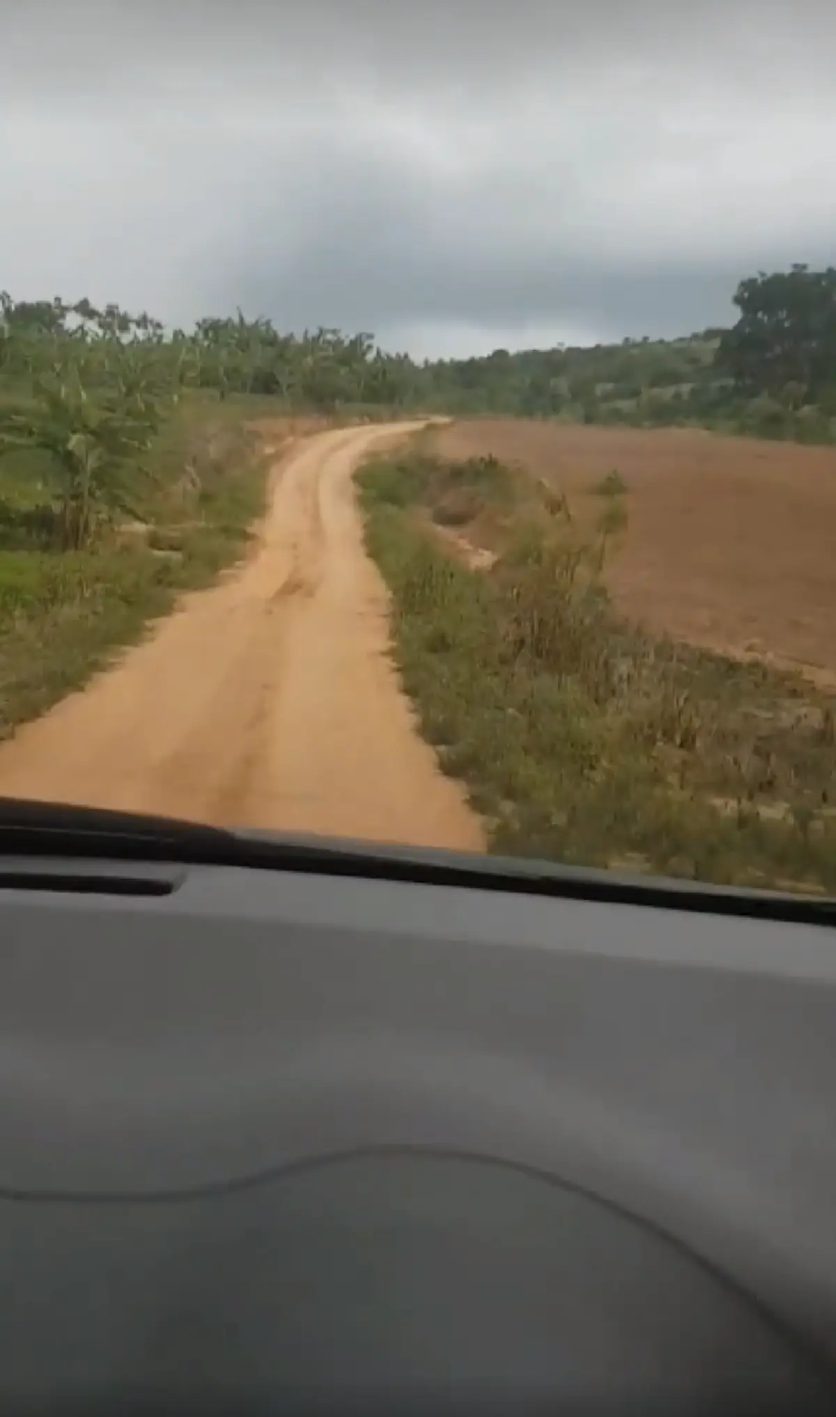 ใครมาเช็คอินตรงนี้!! หนุ่มหัวเสีย เปิด GPS นำทาง พาขึ้นเขาไปเรื่อยๆ สติหลุดเมื่อบอก "คุณมาถึงแล้ว" มองซ้าย ขวามีแต่ป่า (คลิป)