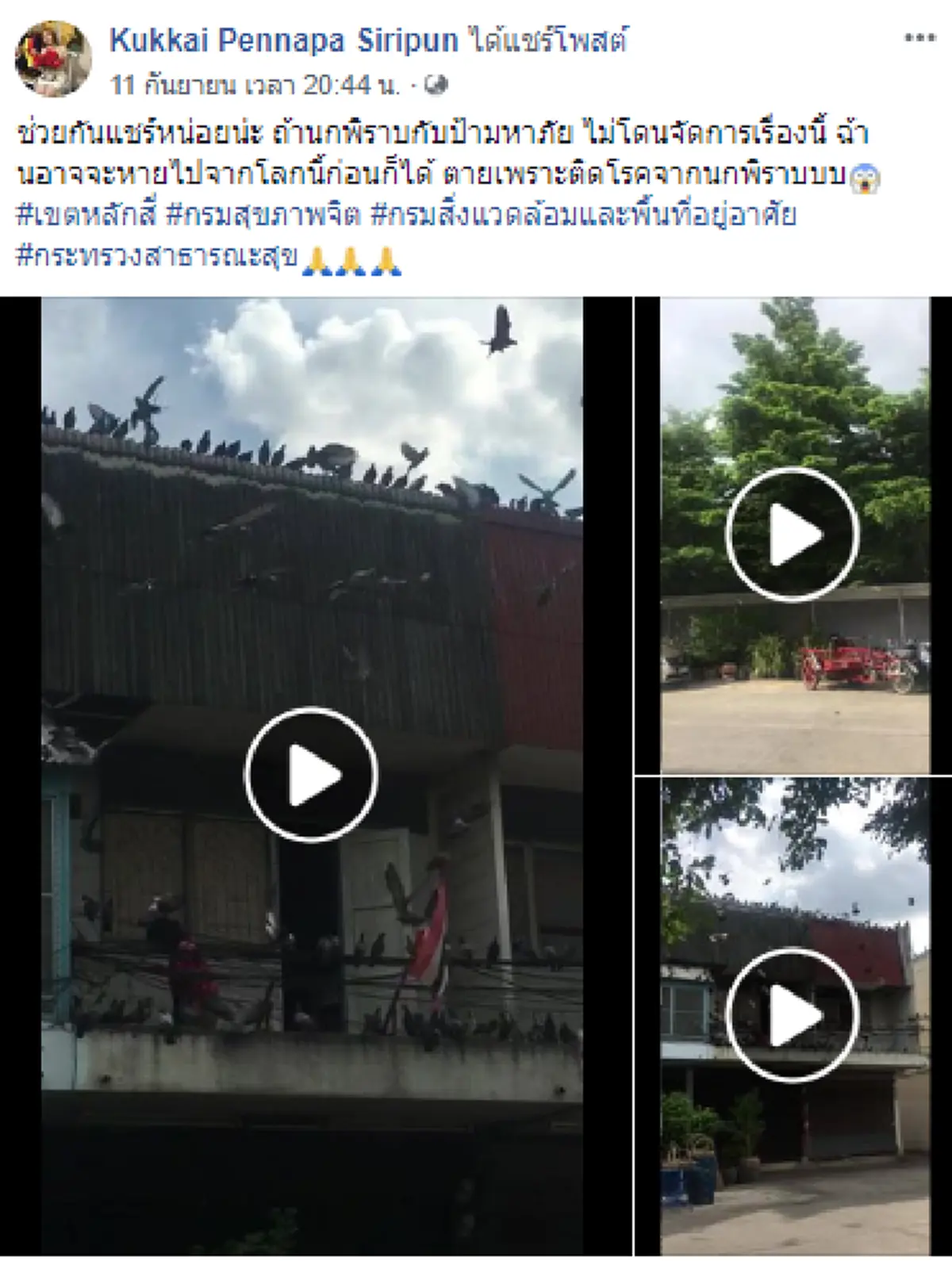 พลังโซเชียลล้วนๆ จนท.เขตฯเจรจาป้าเลี้ยงนกพิราบฝูงใหญ่ เตือนหยุดให้อาหาร ทำเพื่อบ้านเดือดร้อนเสี่ยงเจอโทษคุก