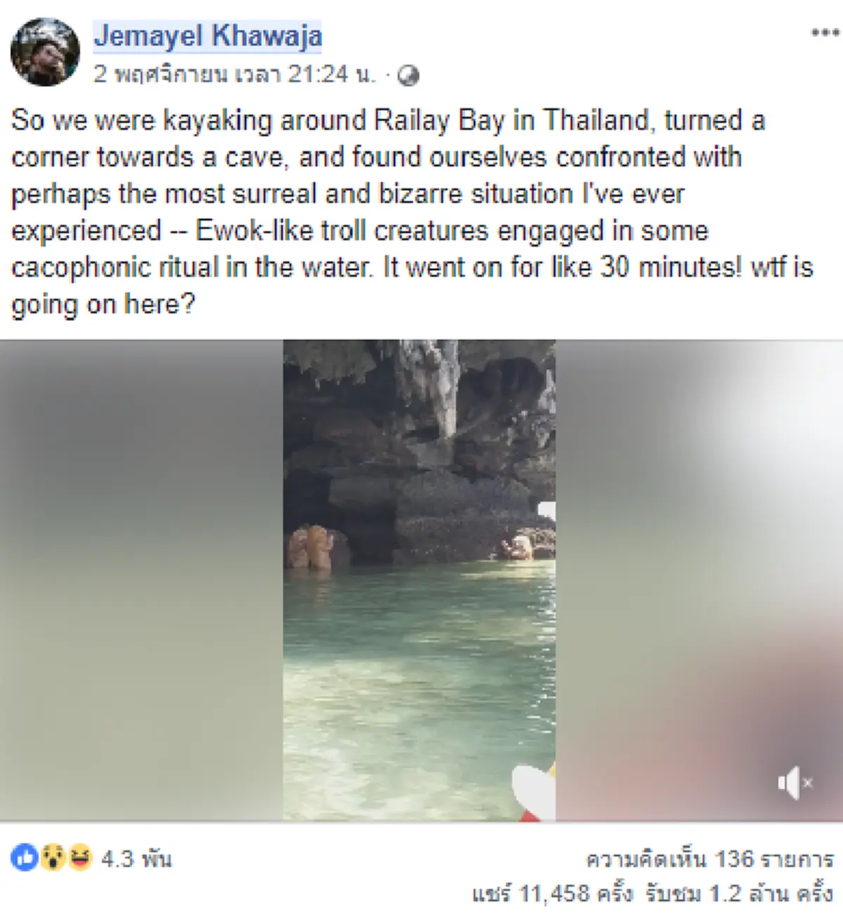 ฮือฮากันทั้งเกาะ! พบฝูงสัตว์คล้ายในนิยาย นั่งพนมมืออยู่ข้างเกาะเหมือนพิธีกรรม "แท้จริงแล้วไม่ใช่ลิง"(คลิป)