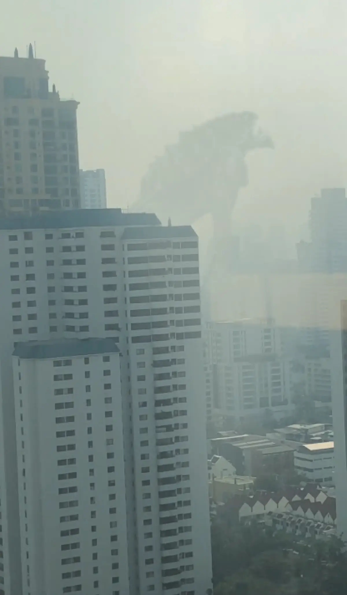 หนุ่มผุดไอเดียสุดบรรเจิด ทำคลิปใส่สัตว์ประหลาดลงในฝุ่น PM2.5 (คลิป)