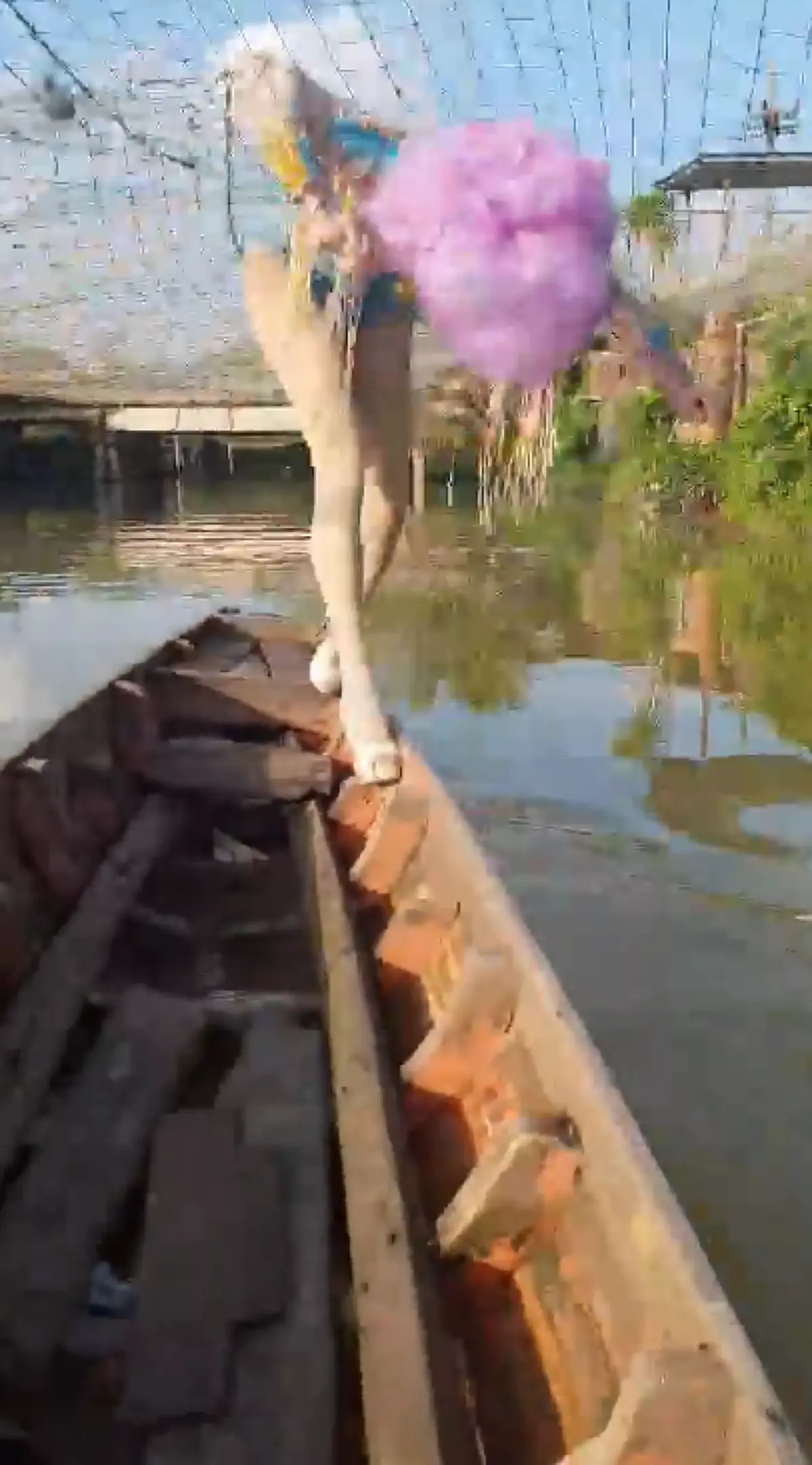 จิตวิญญาณของ \"นางแบบมืออาชีพ\" ทุ่มสุดชีวิตโพสท่าถ่ายแบบบนเรือ ดูไปลุ้นไป