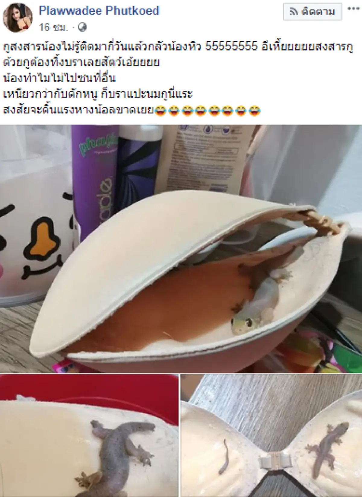 สาวช็อค หยิบบราปีกนกจะใส่ \"เจอจิ้กจก\" ทำตาแบ๊ว ติดอยู่ที่บราแน่น ขยับไม่ได้