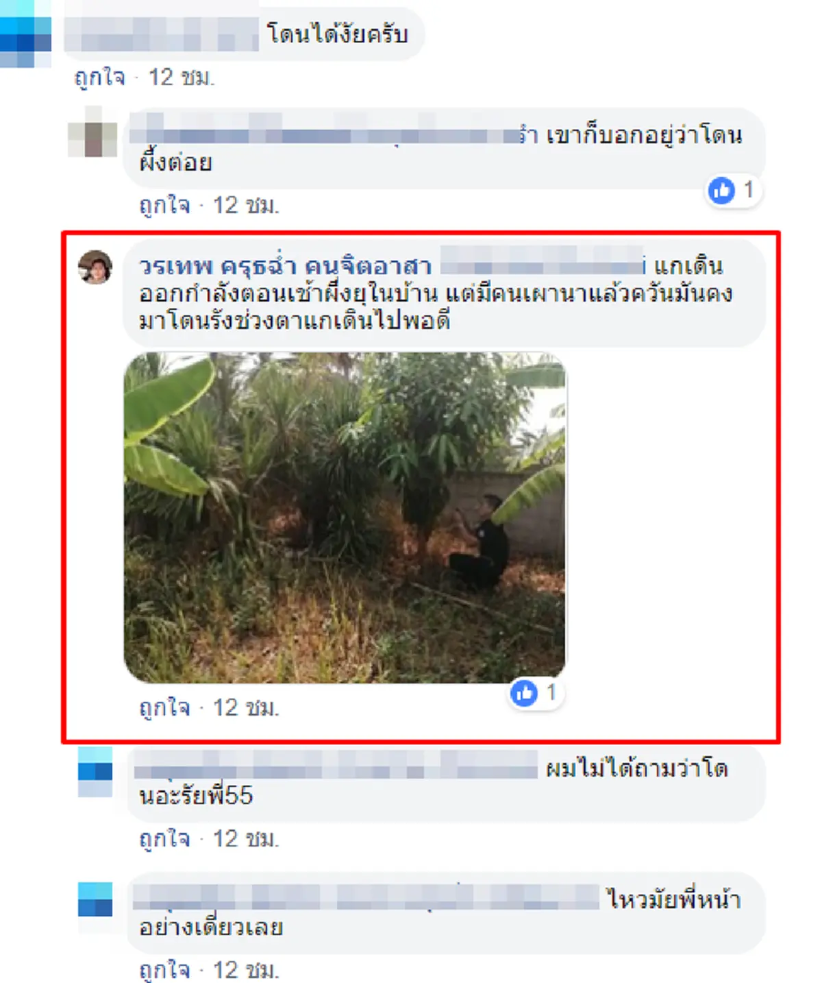 ชายชราถูกผึ้งต่อย ใบหน้าเต็มไปด้วยเหล็กใน ไม่หวั่นพิษขอสู้สุดแรง กู้ภัยเห็นยังนับถือ