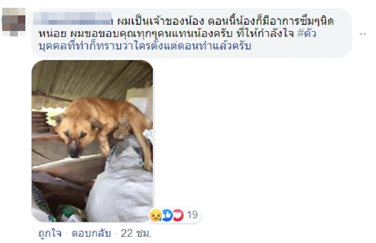 เจ้าของหมดคำพูด เจอคนใช้อาวุธฟาดหน้าสุนัข แถมตะโกนใส่อย่างสะใจ