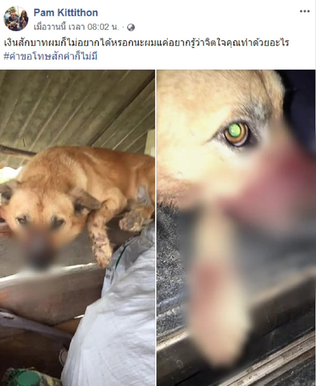 เจ้าของหมดคำพูด เจอคนใช้อาวุธฟาดหน้าสุนัข แถมตะโกนใส่อย่างสะใจ