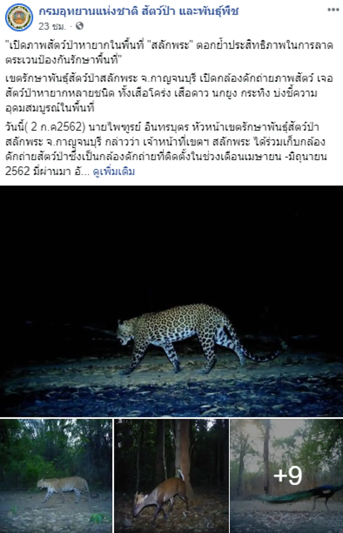 กรมอุทยาน