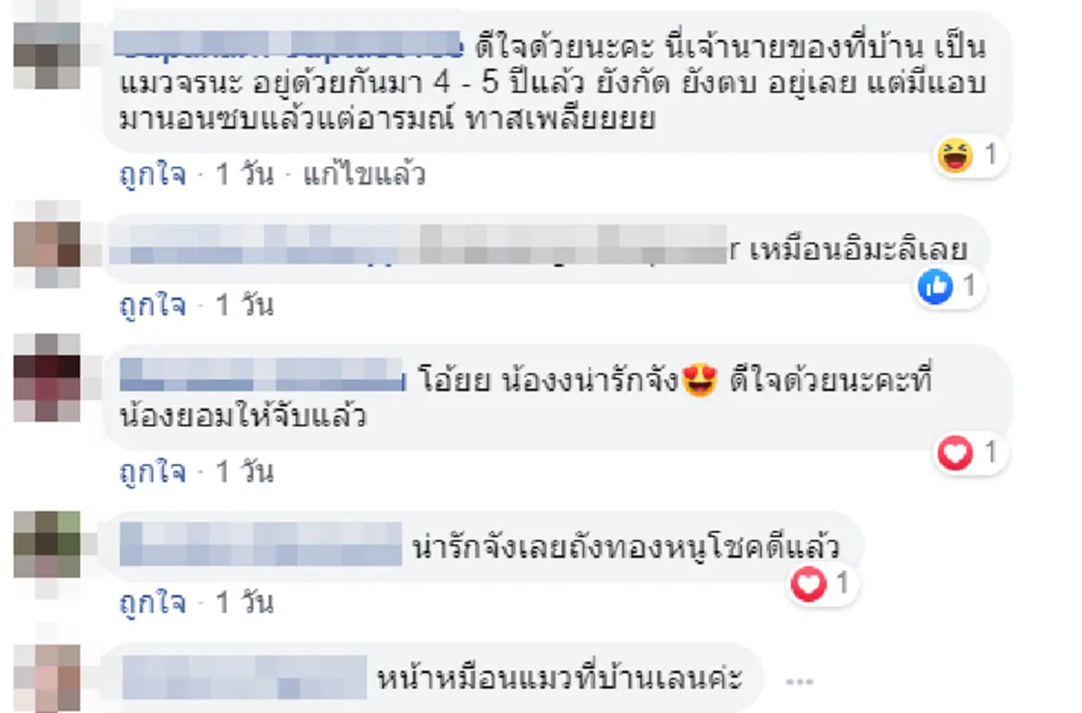 สาวเห็นแมวจร ตัดสินใจขอตกเป็นทาส งานนี้เหนื่อยคิดแผนจับกันวุ่นแต่คุ้ม