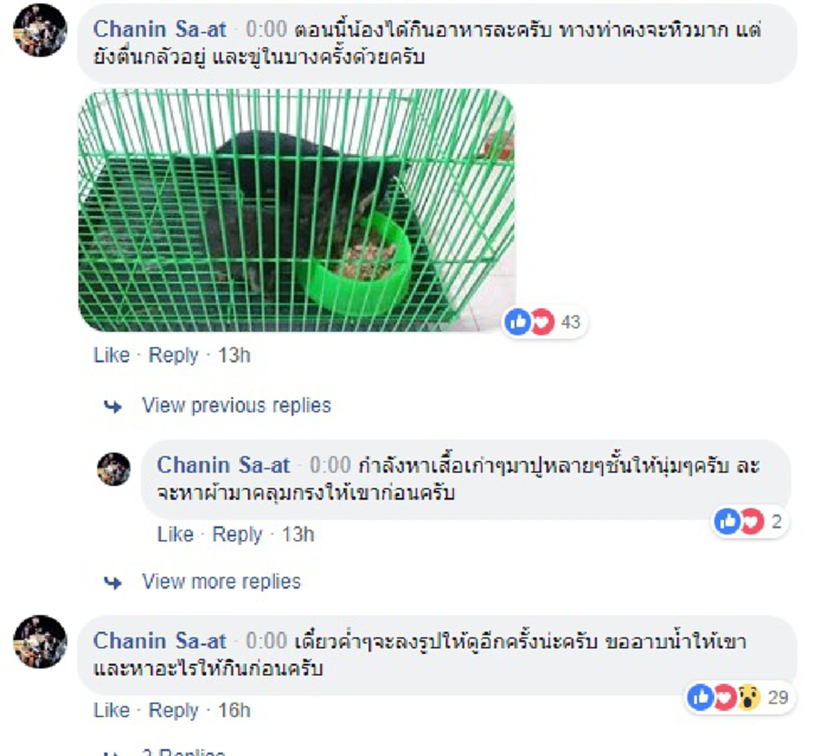 หัวใจพี่หล่อจริงๆ! หนุ่มใจงามขับรถมองแวบๆ เห็นแมวน้อยกลางถนน วกรถไกลกลับไปรับ อนุโมทนาบุญด้วยเลยรู้ข่าวล่าสุด