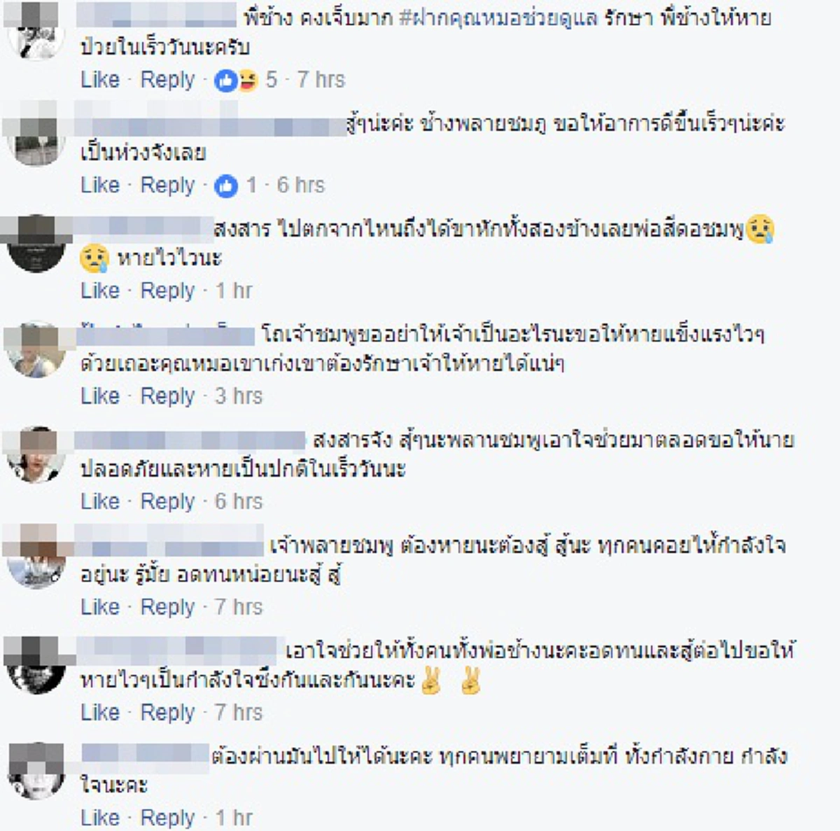 สู้ไปด้วยกันนะ!! อัพเดทอาการ "พลายชมพู" ช้างป่าพลัดจมน้ำคลอง ล่าสุดๆยังไม่ดีขึ้นพบมีเลือดออกไขสันหลัง สัตวแพทย์เฝ้าระวังอย่างใกล้ชิด??