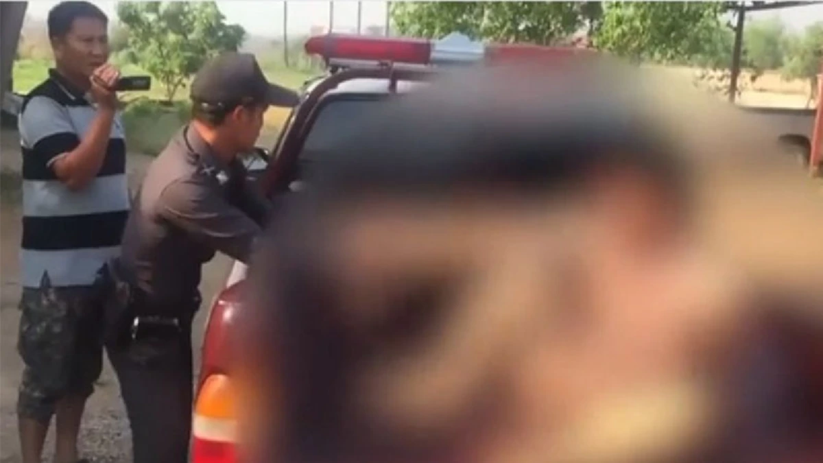 อุบาทว์ !!! หนุ่มใหญ่กอดจูบลูบคลำวัว ก่อนข่มขืนจนสำเร็จความใคร่ แม้วัวจะพยายามขัดขืนโดยใช้เท้าถีบก็ตามที