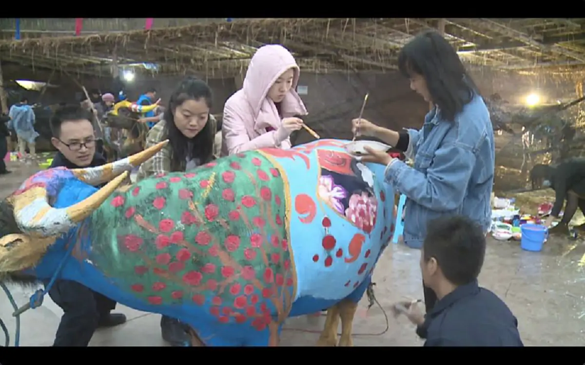 รู้จัก เทศกาล "ระบายสีควาย" จัดเป็นประจำทุกปีช่วงเทศกาลปีใหม่ในจีน (คลิป)