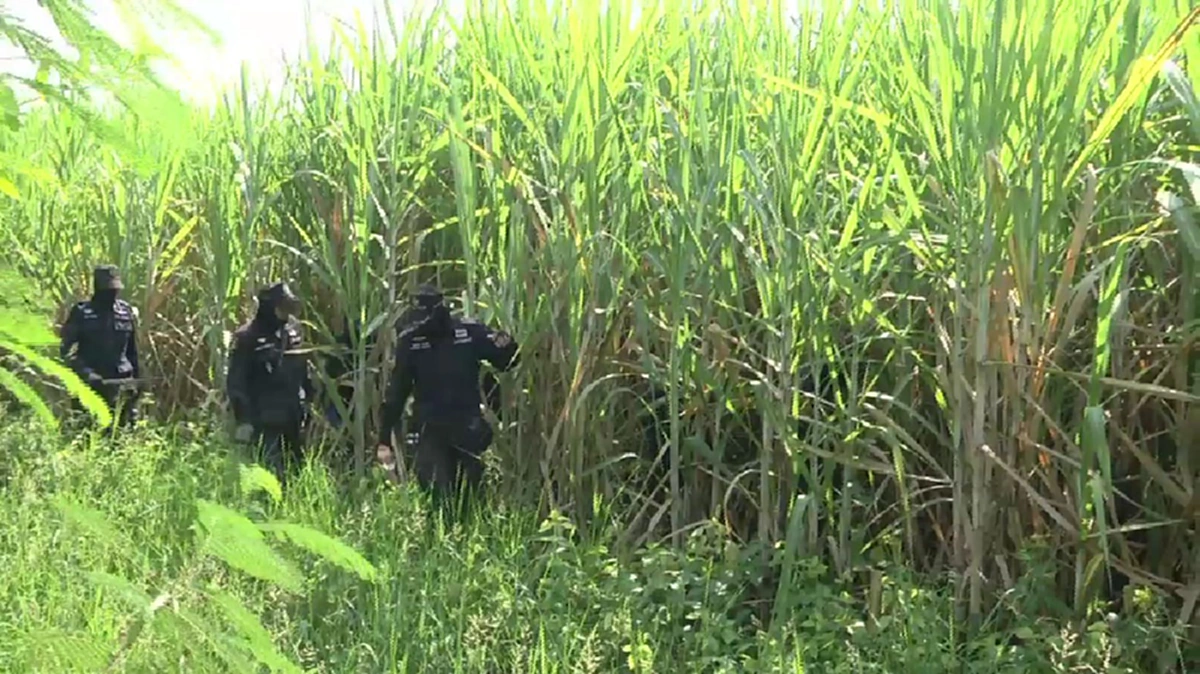 ผบก.สุพรรณฯล็อคเป้าคนสงสัย รอนิติเวชสรุปผลชันสูตร "น้องซูลุยผิว" เจอเพิ่มรอยเขี้ยวสัตว์บนลำตัว