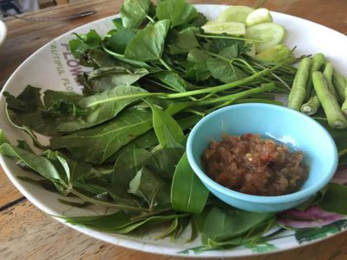 รีบหามากินด่วน !!! "ยอดอ่อนมะม่วงหิมพานต์" สรรพคุณเยี่ยมยอดแบบที่หลายคนไม่เคยคิดมาก่อน !!