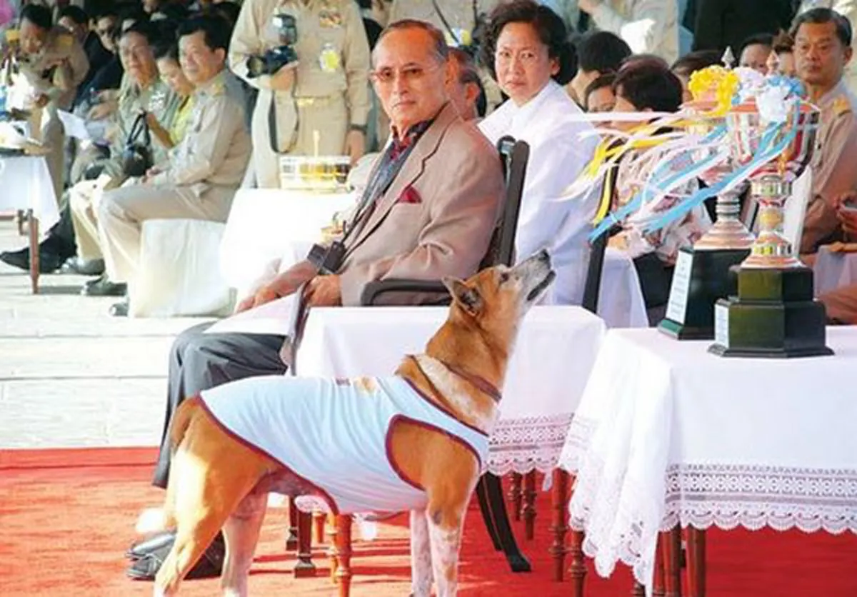ยิ่งอ่านยิ่งคิดถึง !!! เปิดเรื่องราว "คุณทองแดง" ยามคิดถึง "ในหลวงรัชกาลที่ 9"