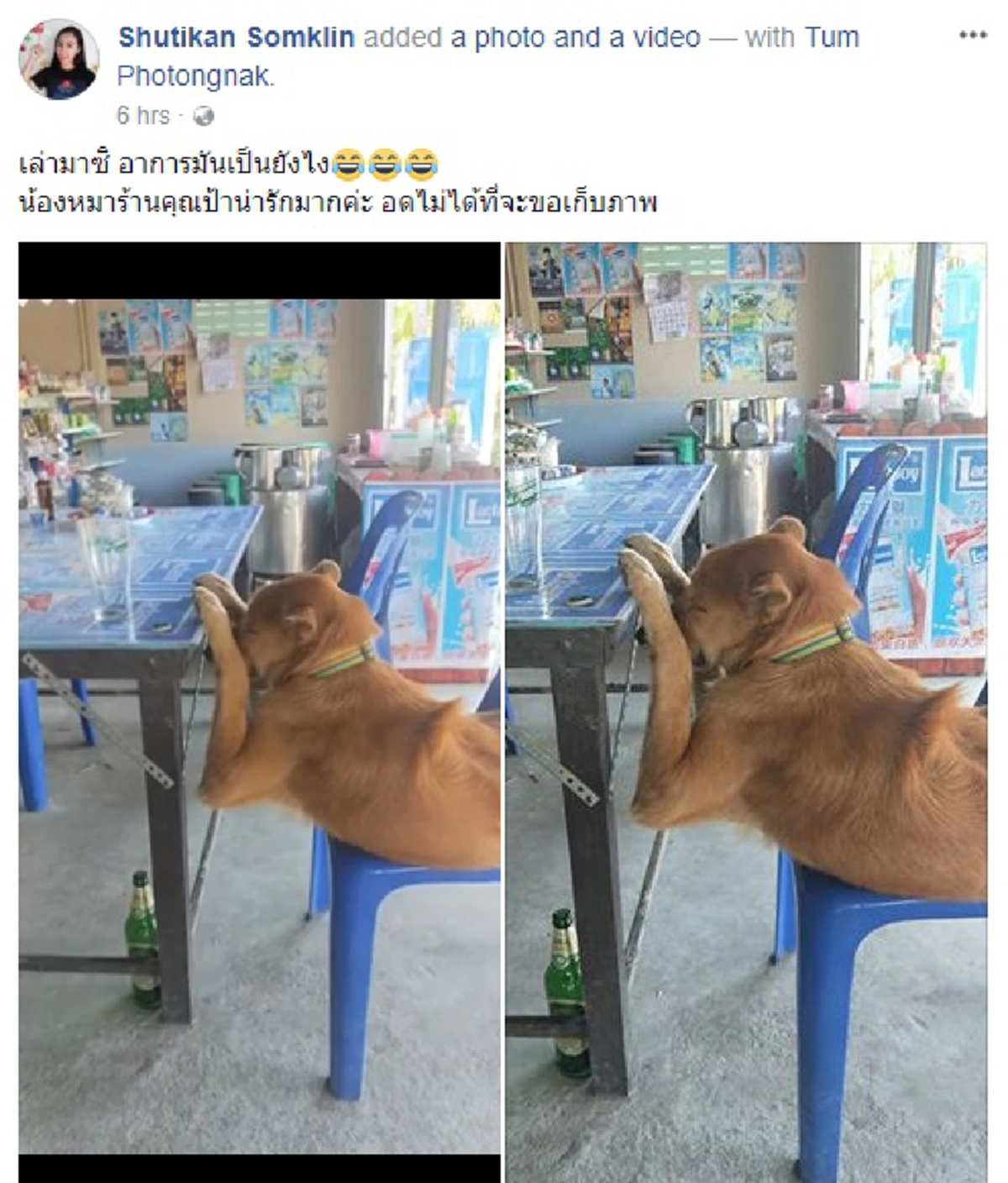 ไหนบอกพี่...อาการมันเป็นไงลูก!! สาวเจอตูบนอนซบโต๊ะท่าทางสะลึมสะลือ เดินไปดูเจอหลักฐานคาตา เห็นแล้วทำคนฮาทั้งโซเชียล!!? (ชมคลิป)