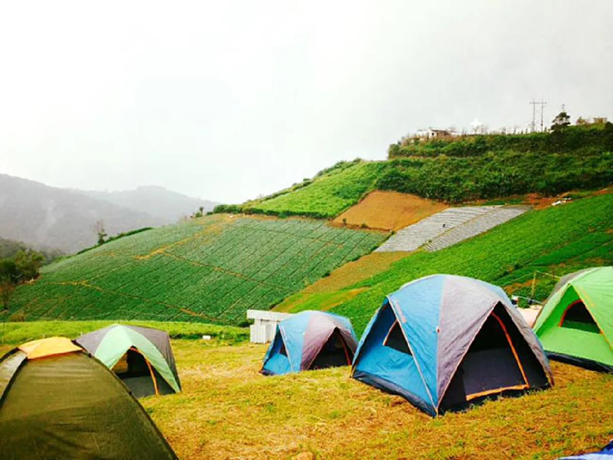 ลานกางเต็นท์