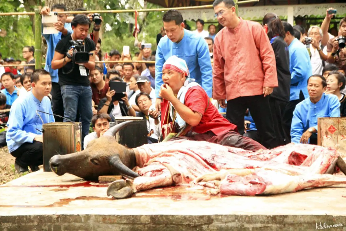 พิธีกรรมสุดสยอง!! เปิดตำนาน "ประเพณีเลี้ยงดง" กินเนื้อควายสดๆ เซ่นดวงวิญญาณผู้รักษาป่า ปู่แสะ-ย่าแสะ ความเชื่อแต่โบราณที่ยังคงอยู่(มีคลิป)!!