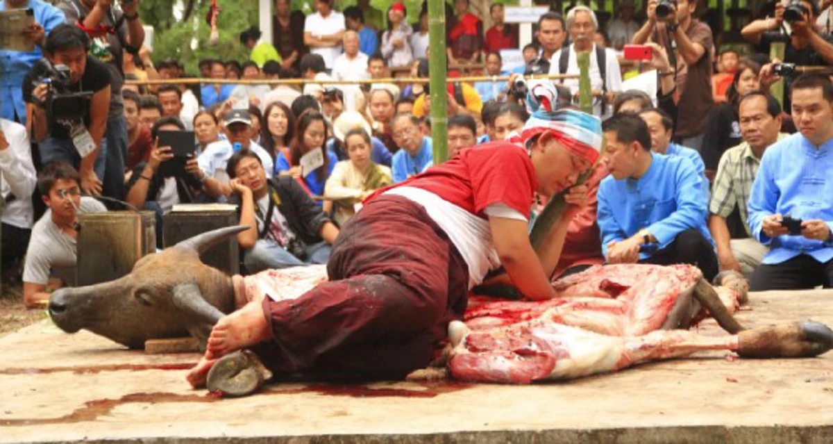 พิธีกรรมสุดสยอง!! เปิดตำนาน "ประเพณีเลี้ยงดง" กินเนื้อควายสดๆ เซ่นดวงวิญญาณผู้รักษาป่า ปู่แสะ-ย่าแสะ ความเชื่อแต่โบราณที่ยังคงอยู่(มีคลิป)!!