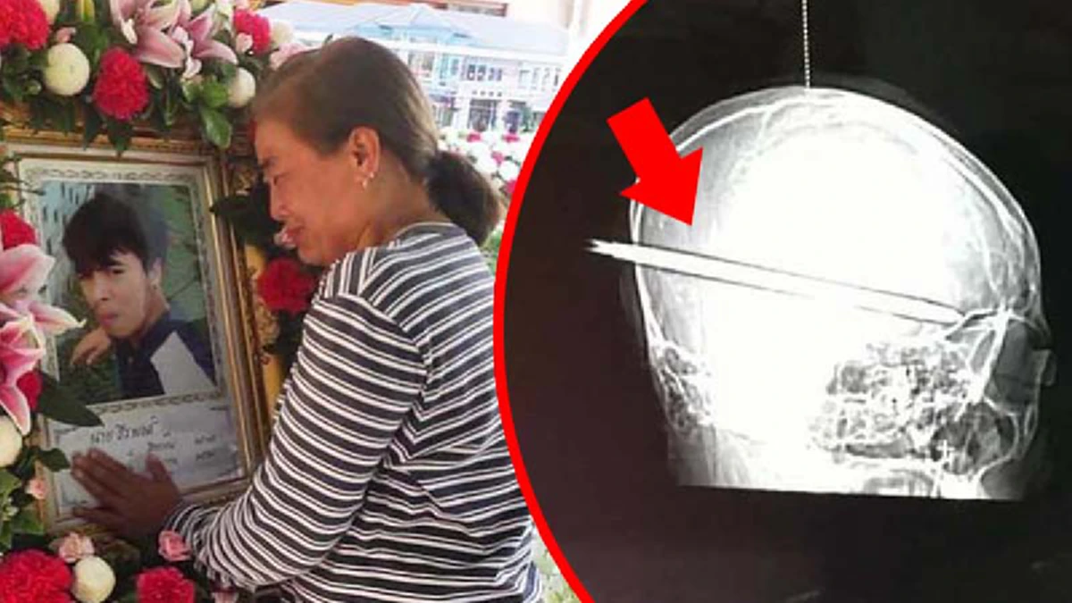 มาแล้วคลิปนาทีหมาหมู่อาละวาด!! เพจดังเปิดหลักฐานเด็ดแก๊งโจ๋ทมิฬยกพวกรุมฆ่า "น้องปอนด์" ตร.ยันใหญ่แค่ไหนก็จับ ล่าสุดจนมุมยกฝูงโผล่รับข้อหา??