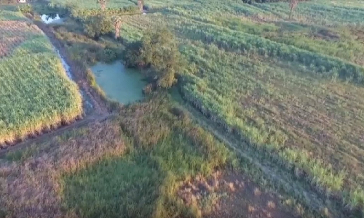 นิติเวชรพ.ตร. ไม่พบบาดแผล บนร่าง "น้องซูลุยผิว" รอตรวจDNAเสื้อผ้าซ้ำ เร่งหาเหตุเสียชีวิต