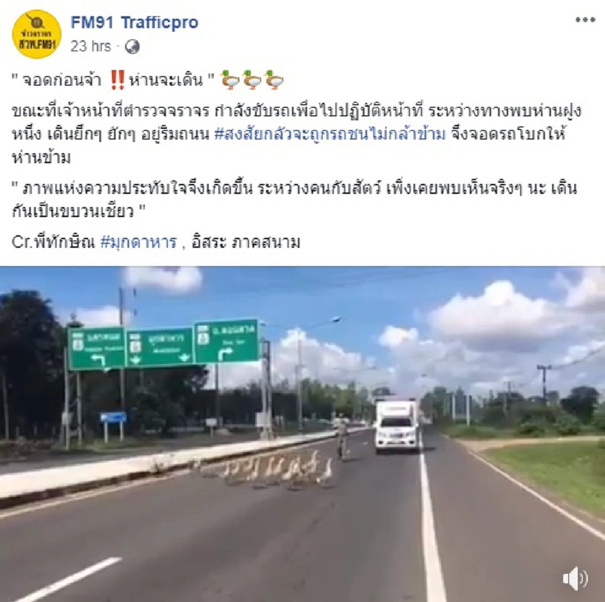 ชื่นชมหัวใจ เปิดคำพูดซึ้ง "ตำรวจใจดี" โบกรถให้ฝูงห่านข้ามถนน เผย "ทุกชีวิตมีค่า ไม่ว่าคนหรือสัตว์ต้องช่วยเหลือกัน"