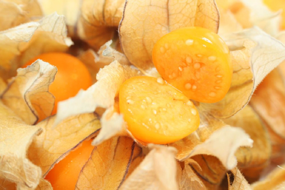 น้อยคนจะรู้ 8 ผลไม้ ปลูกได้จากผล ที่เราซื้อมากิน เพาะสุดง่าย ทำได้จริง